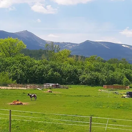 Malinowka Pod Sniezka *