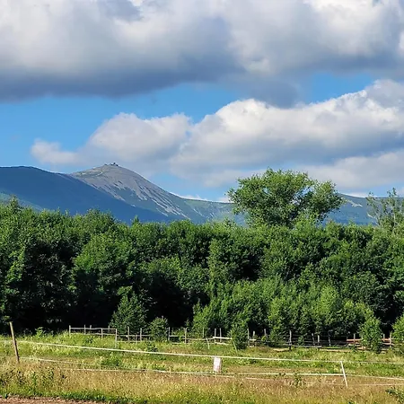 דירה Malinowka Pod Sniezka *