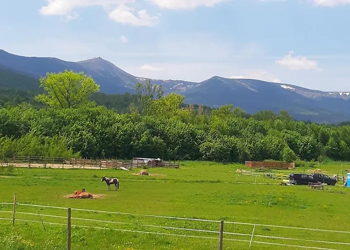 Malinowka Pod Sniezka *