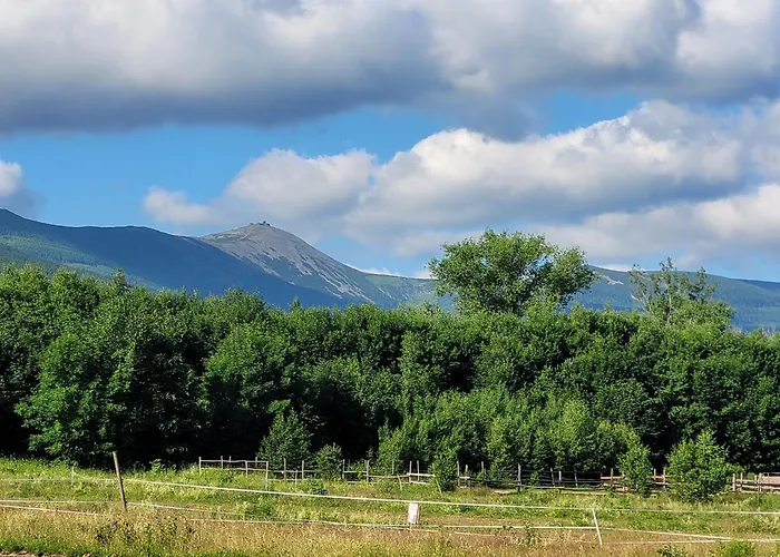 Apartment Malinowka Pod Sniezka *