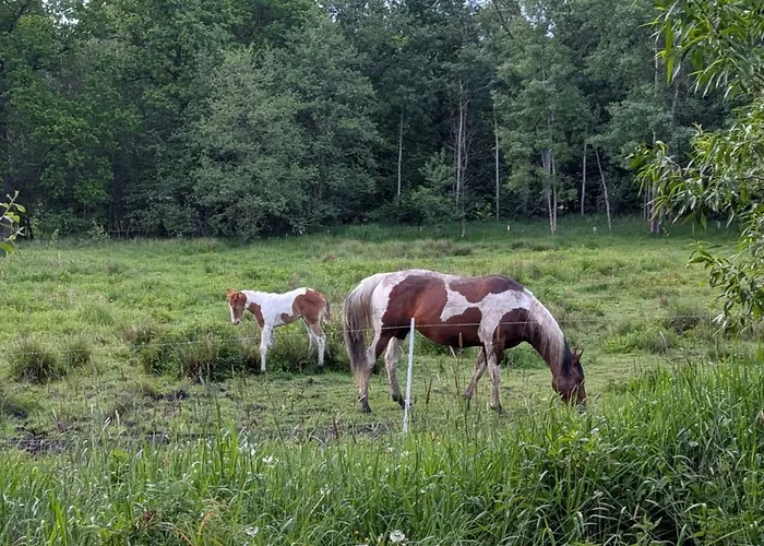 Malinowka Pod Sniezka קובארה